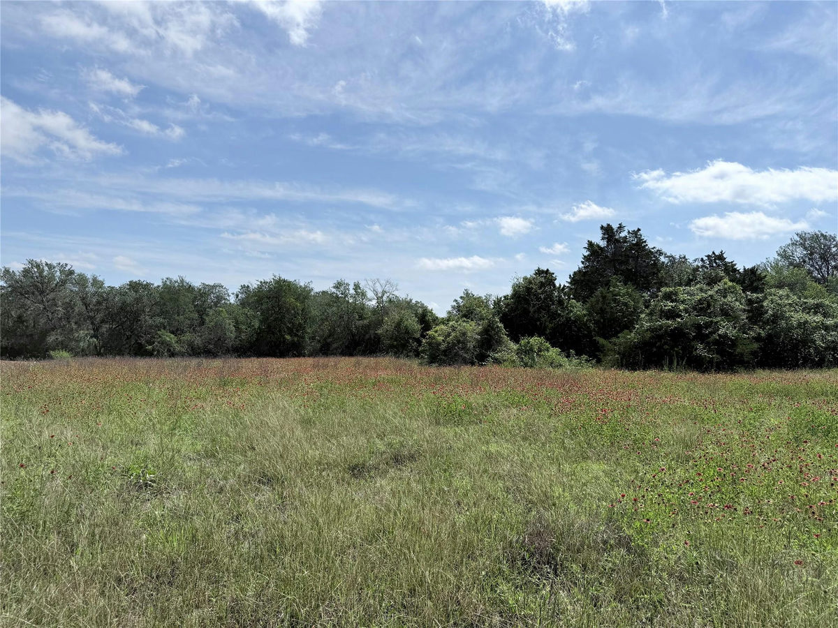1880 Fm 2571 — photo 4