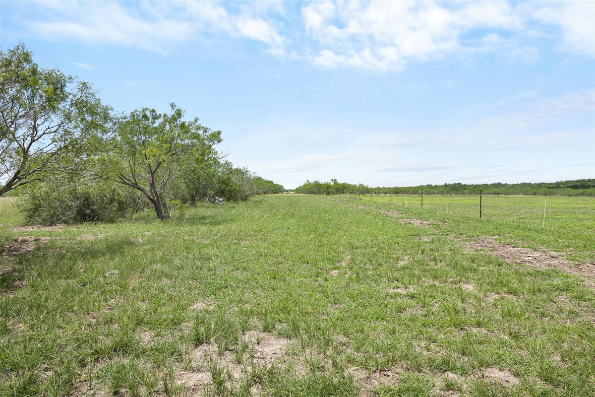1190 Dickerson Rd — photo 4