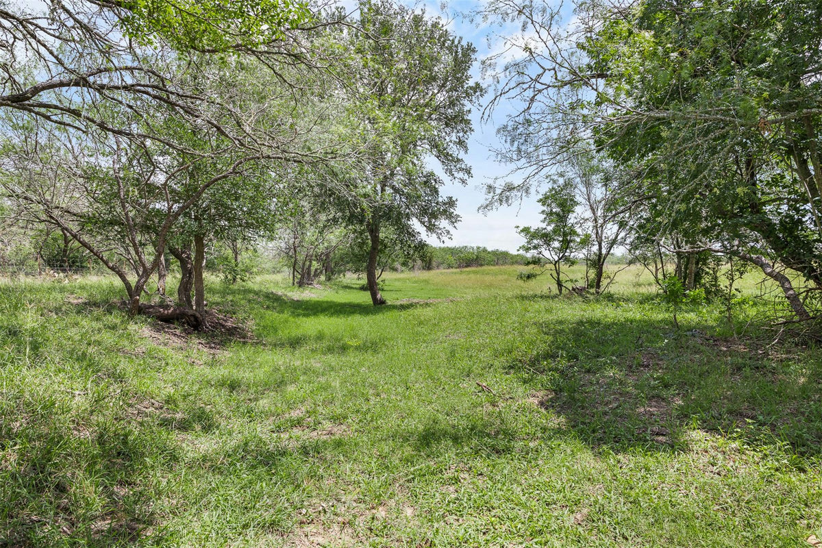 1190 Dickerson Rd — photo 5