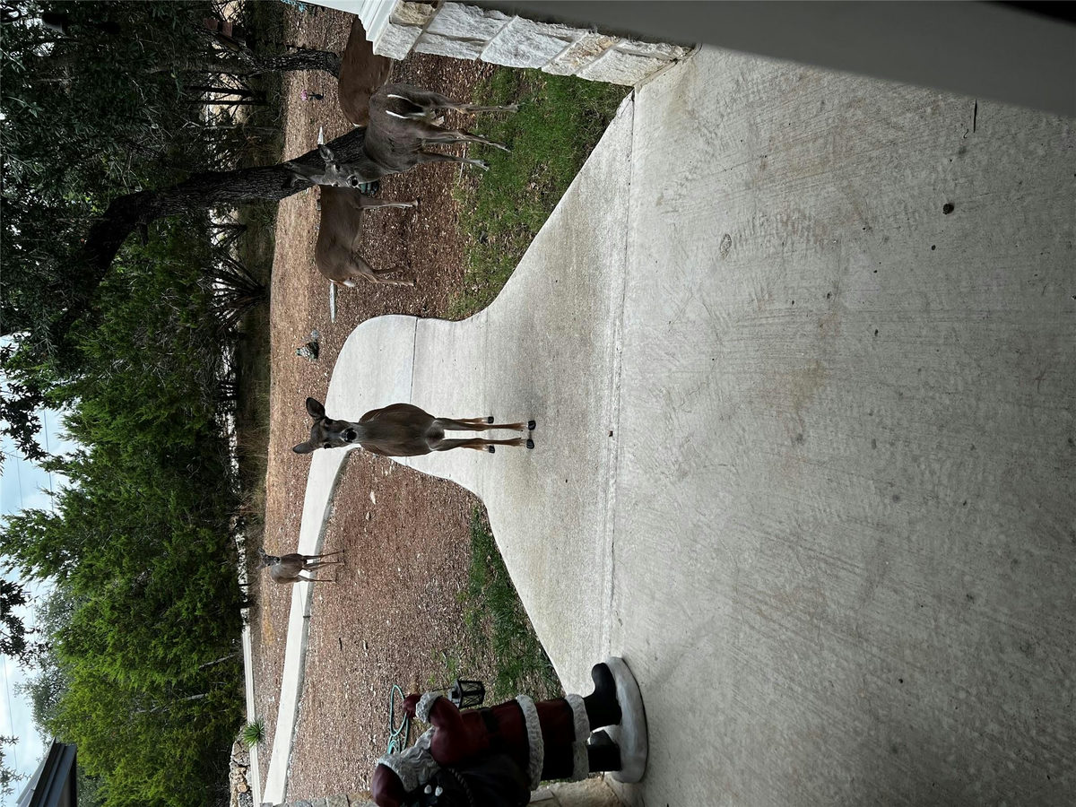 13326 Trautwein Rd — photo 4