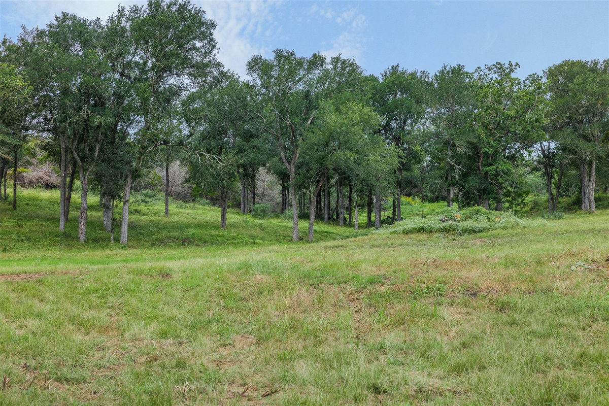 401 Fm 672 — photo 5