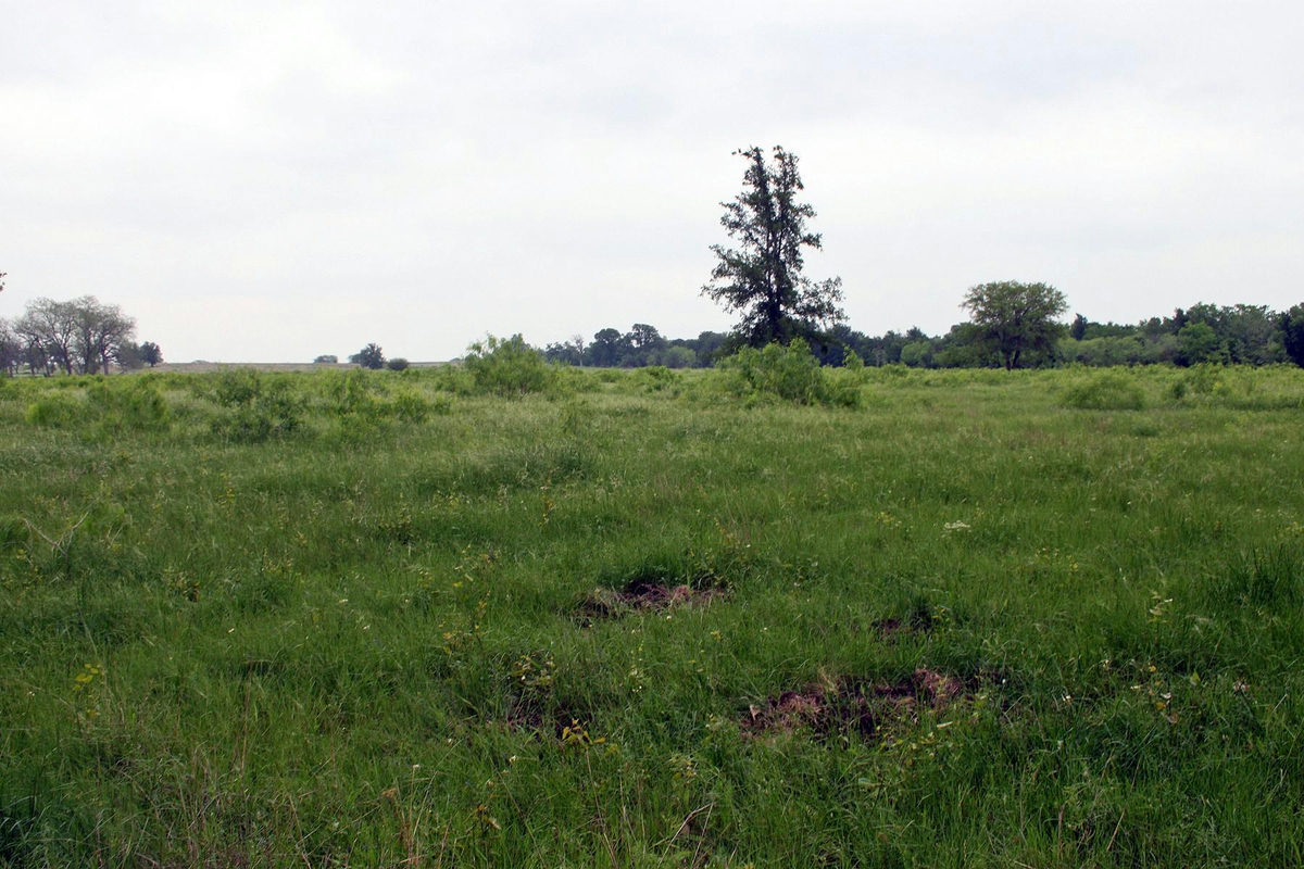 000 Brushy Branch Rd — photo 3
