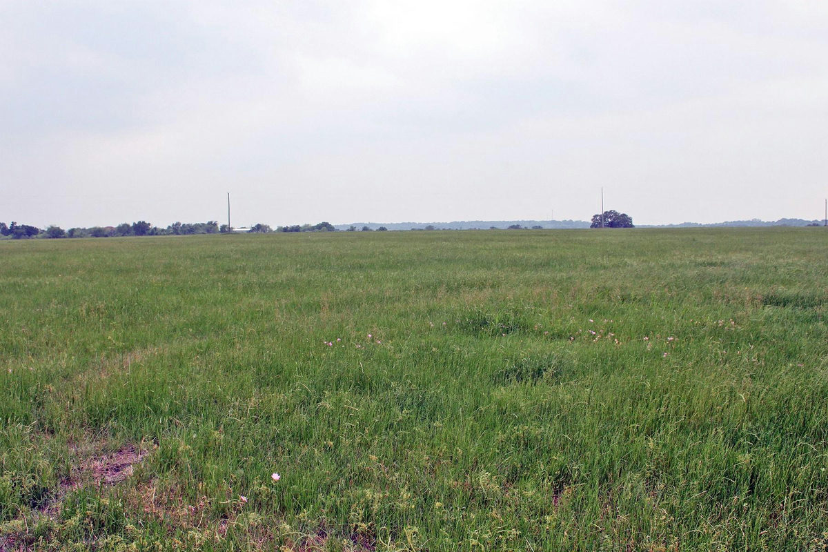 00 Brushy Branch Rd — photo 4