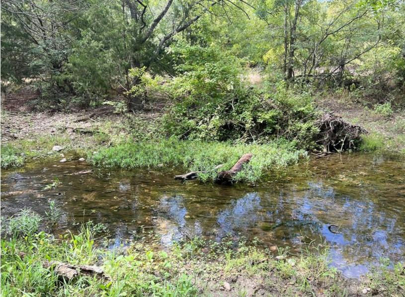 000 Decker Lake Rd — photo 4