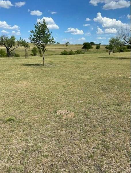 000 Decker Lake Rd — photo 2