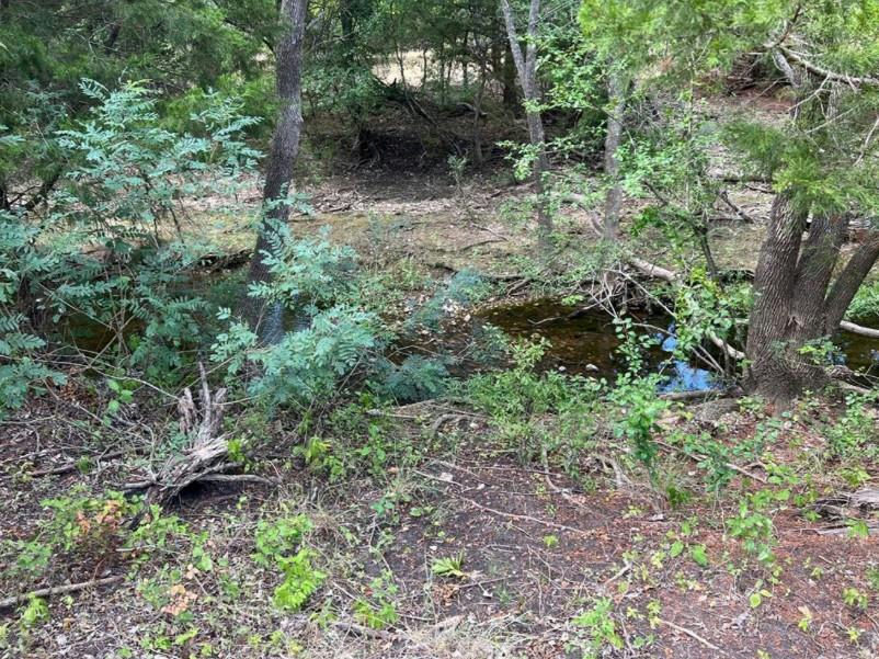 000 Decker Lake Rd — photo 5