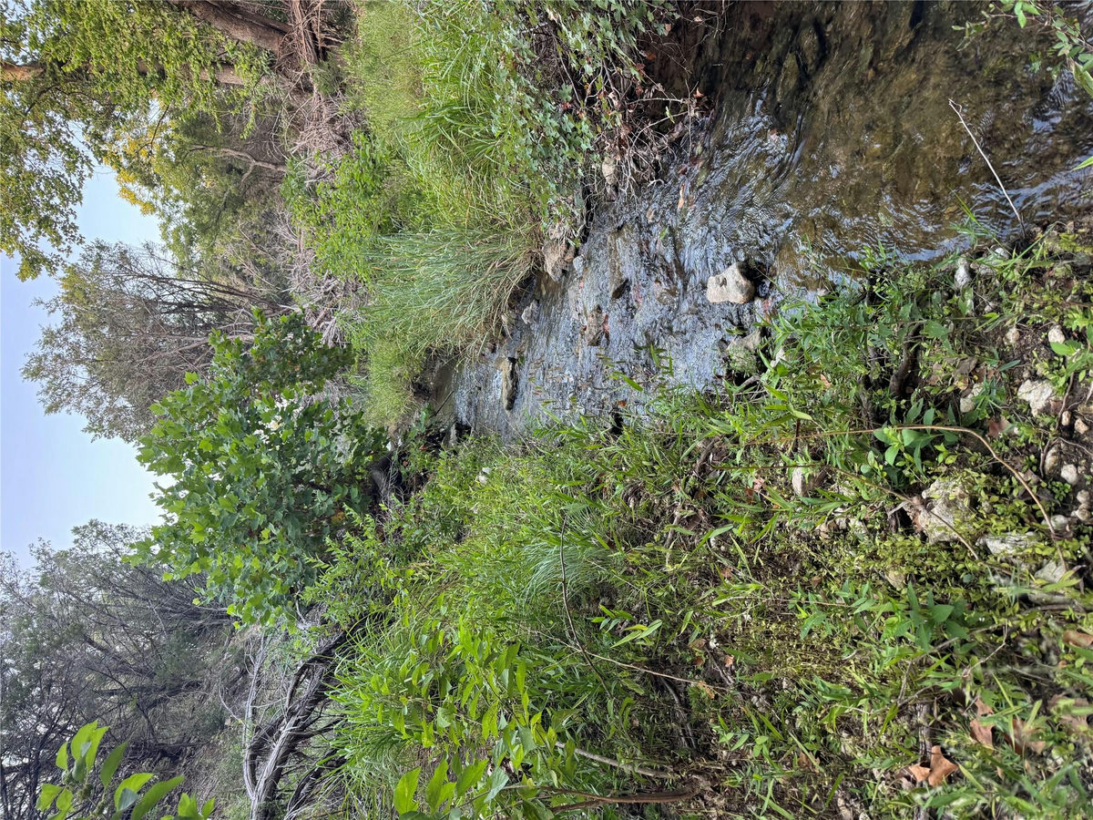 0000 Round Mountain Rd — photo 4
