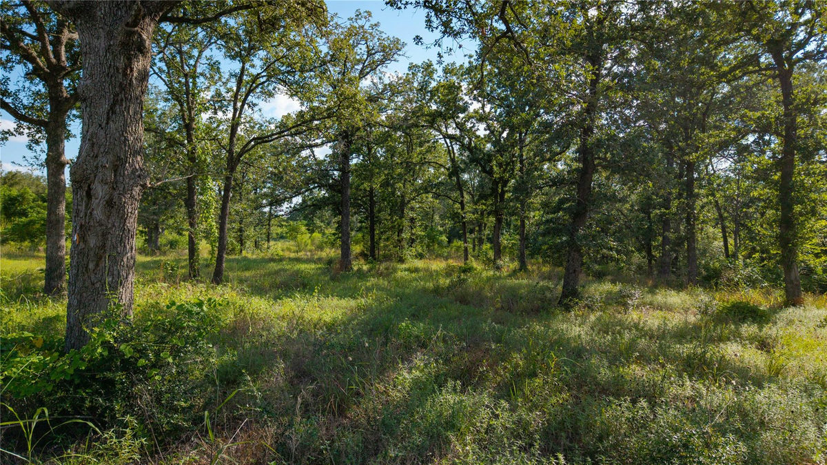 206 Sayers Rd — photo 5