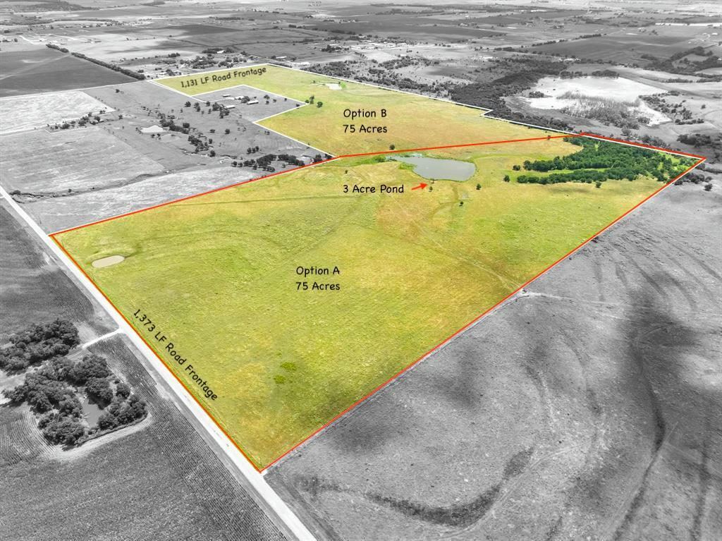 Tract 1 - 75 Acres County Road 419 — photo 2