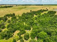 Tract 1 - 75 Acres County Road 419 — photo 3