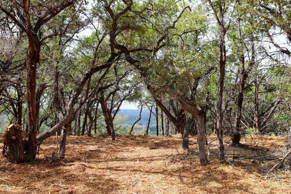 Tract 4 Buttercup Ln — photo 4