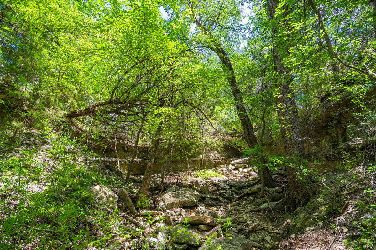 301 Blessing Ranch Rd — photo 4