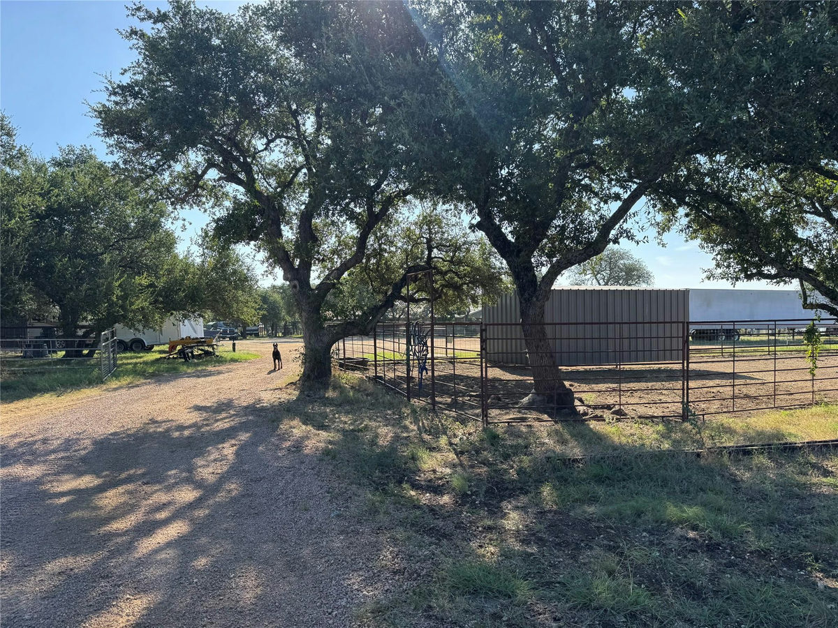 223 County Road 303 — photo 3