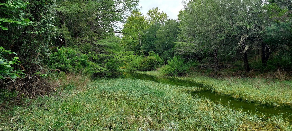 00000 Brinkley Dr — photo 4