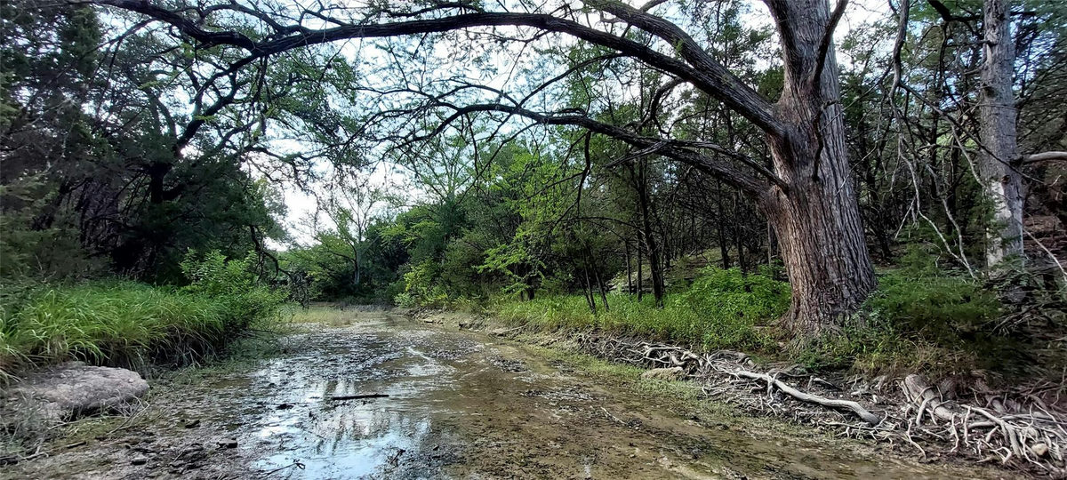 00000 Brinkley Dr — photo 3