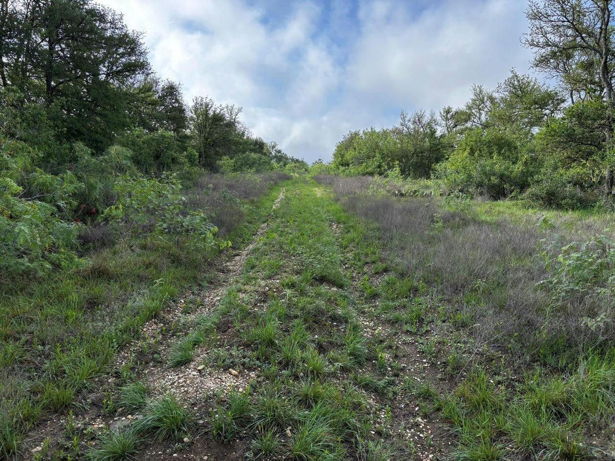 615 County Road 467 — photo 3