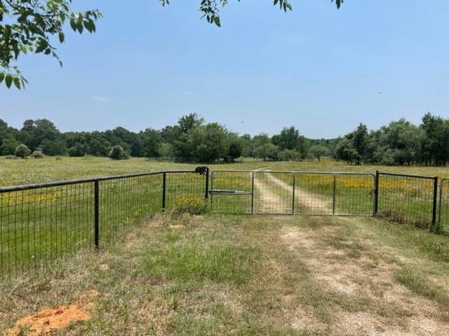 1010 County Road 490 — photo 2