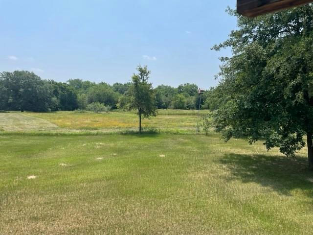 1010 County Road 490 — photo 4
