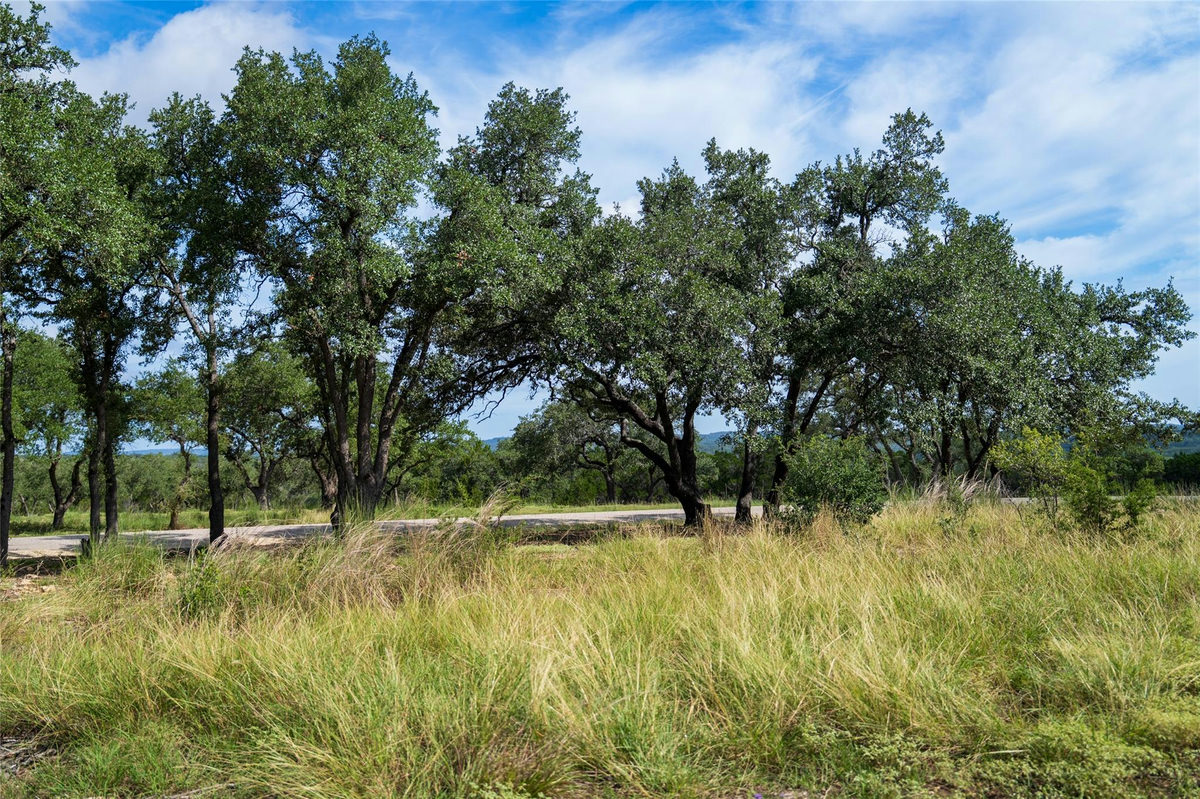 TBD-7 RR 2325 — photo 4