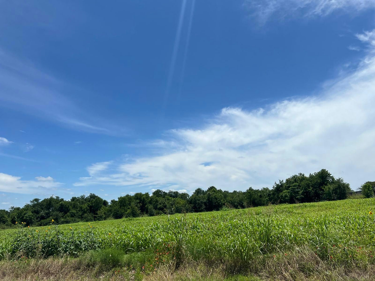65.47 acres CR 327 Rd — photo 4