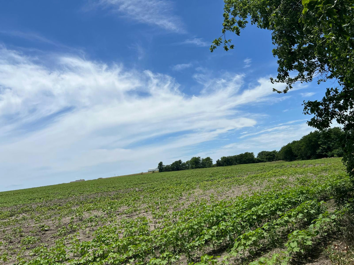 65.47 acres CR 327 Rd — photo 3