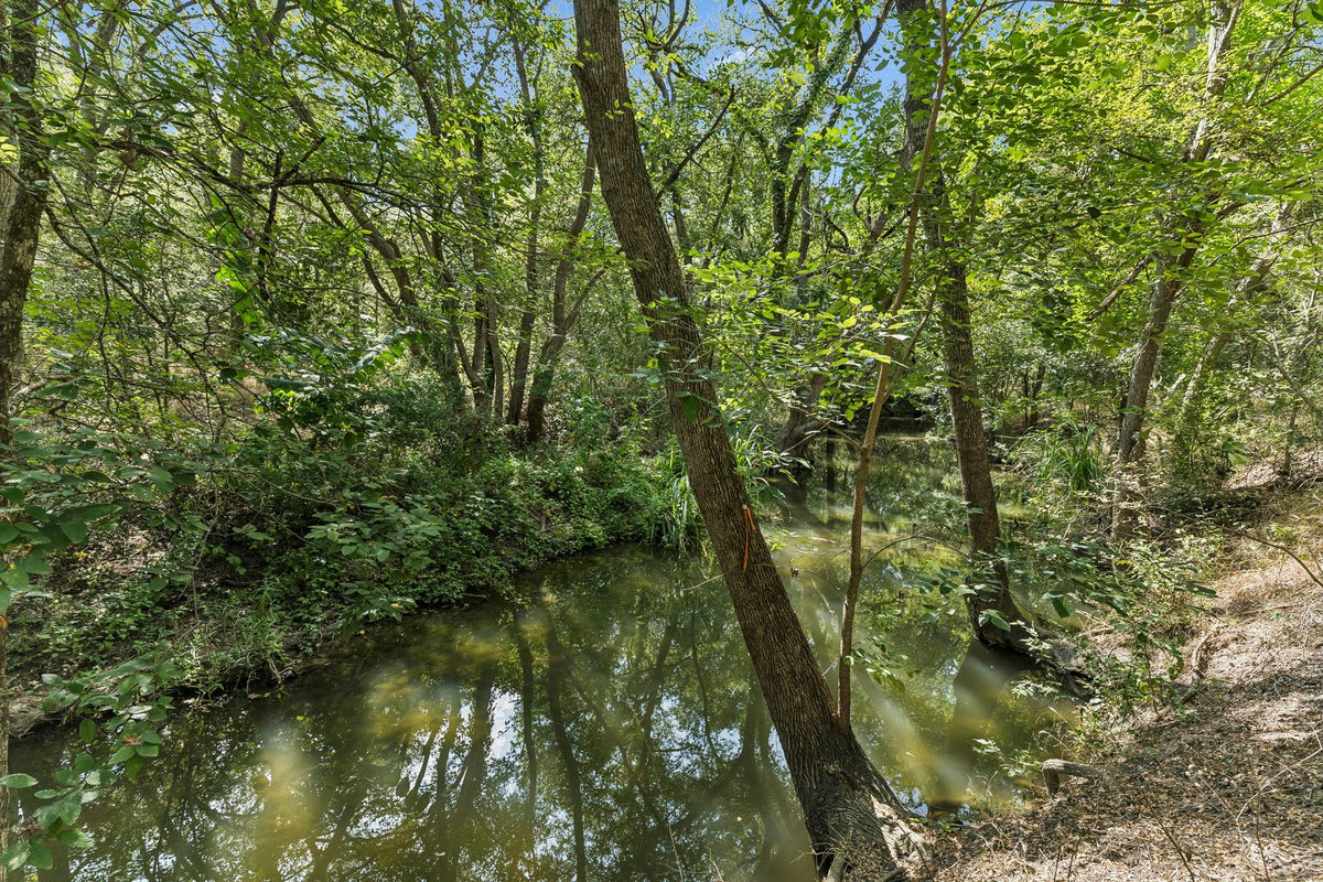 16001 Decker Lake Rd — photo 3