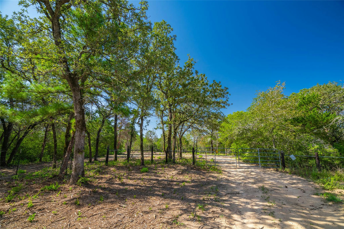 1247 Sand Hills Road — exterior