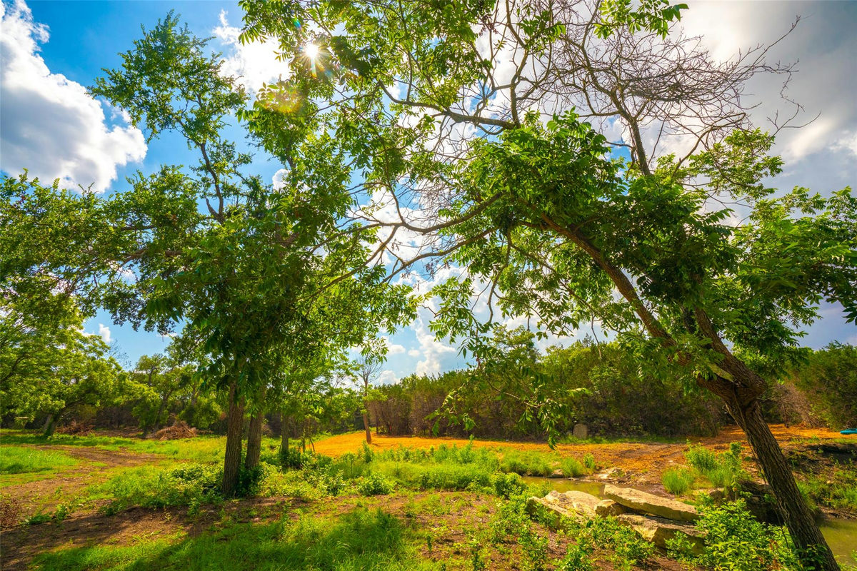 0 Spring Haven Ranch — photo 4