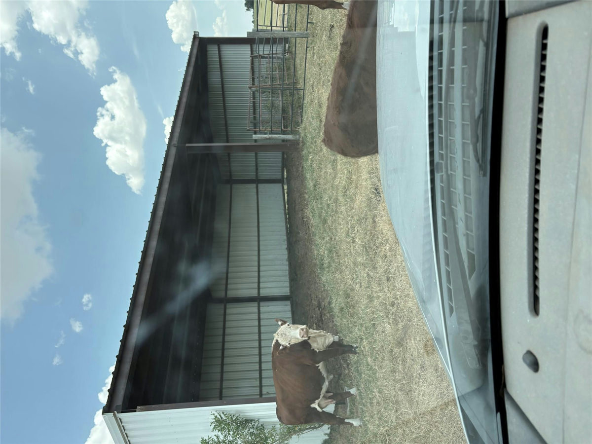 600 County Road 444 Land — exterior