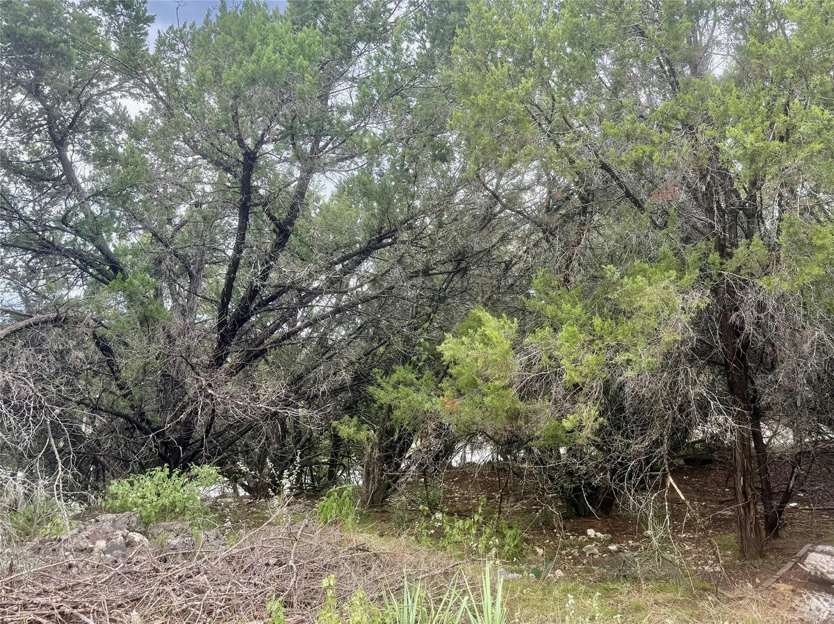 2101 2101 San Juan Dr — photo 2