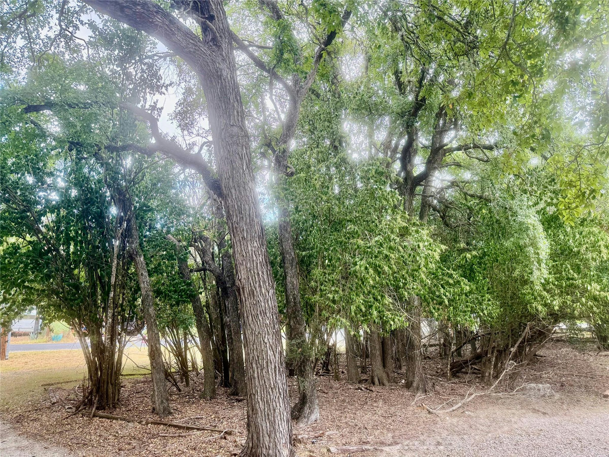 2101 2101 San Juan Dr — photo 4
