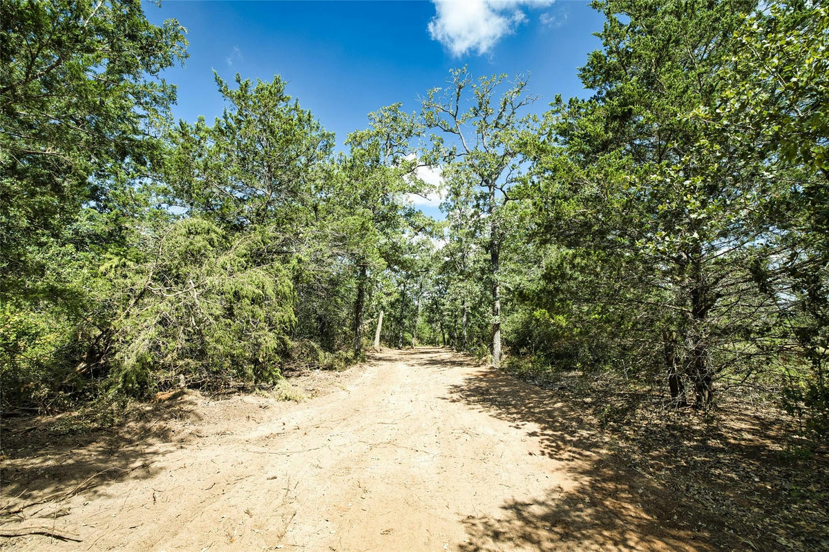 7780 Taylorsville Rd. — photo 4