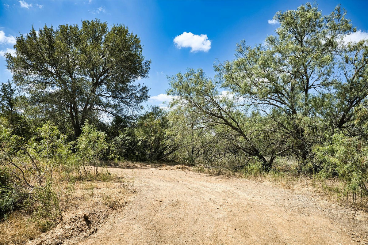 7780 Taylorsville Rd. — photo 5