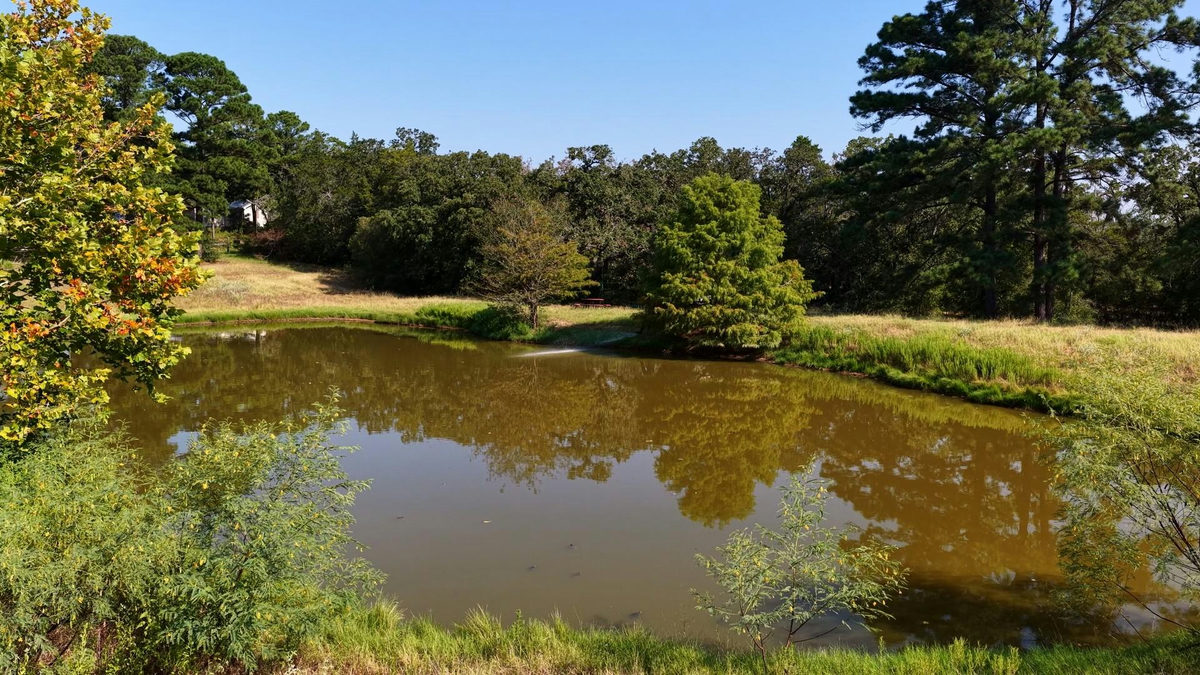 218 Little Ranch Rd — photo 5