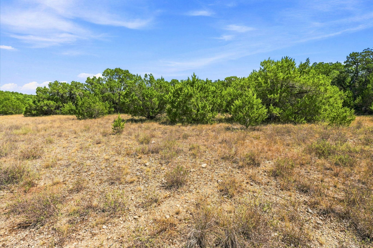 TBD Tract 1 & 2 (22.5 Ac) Lipan Run — photo 3