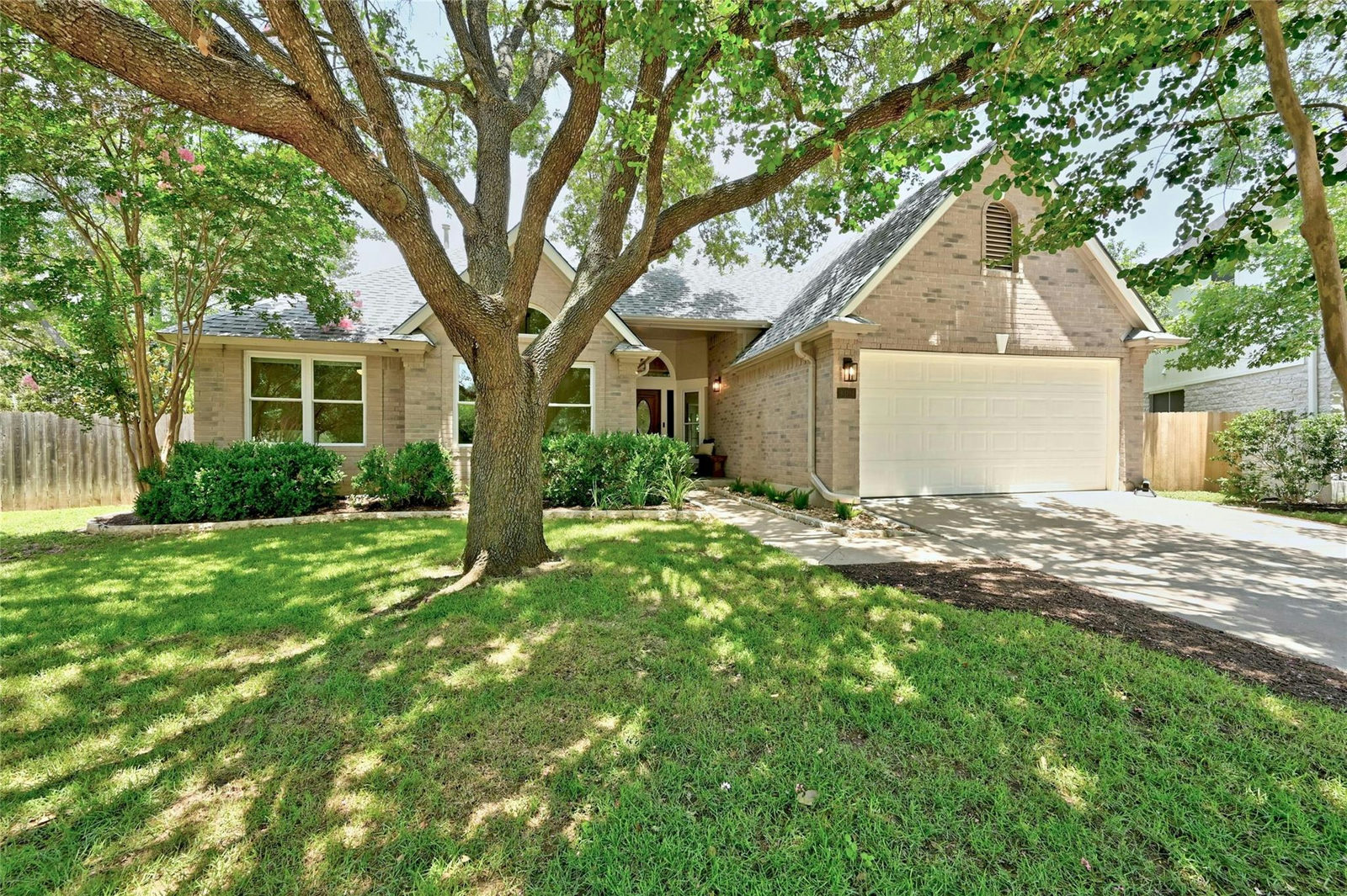 9304  Silk Oak Cv  