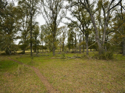 277 FM 672 — photo 4