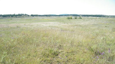 00 Westfall Dr — photo 3