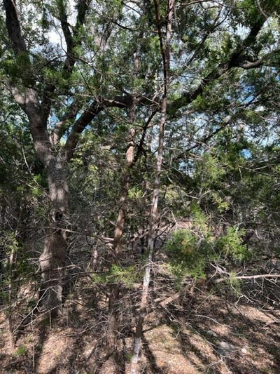 TBD Carney Ln — photo 4