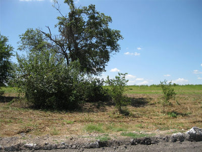 00 County Road 133 — photo 2