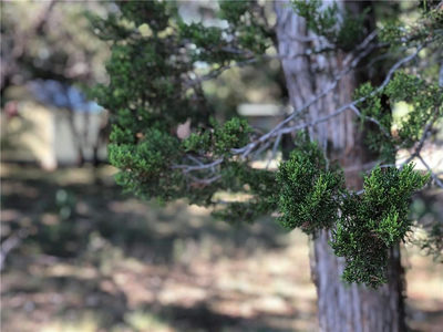TBD High Mesa Dr — photo 4