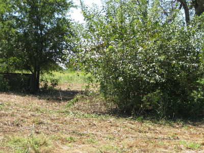 00 County Road 133 — photo 4