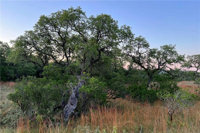 466 Thompson Ranch Rd — photo 3