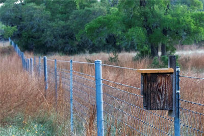 466 Thompson Ranch Rd — photo 5