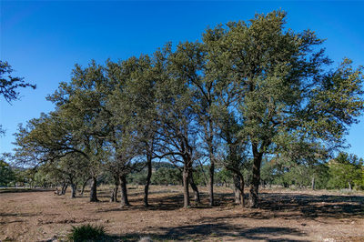TBD 281 Hwy — photo 3