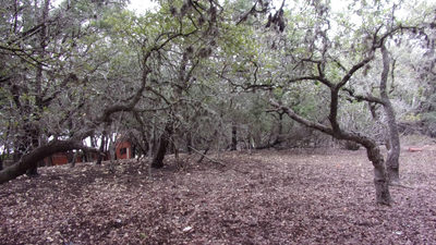Lot 46 Mountain Wood — photo 4