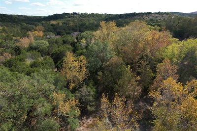 8170 N US Hwy 281 Hwy — photo 2