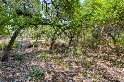 21465 Lakefront Dr — photo 3