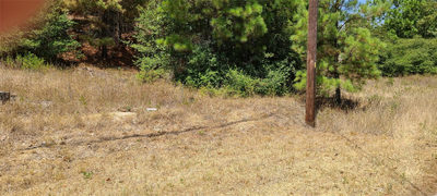 TBD Tall Forest Dr — photo 3
