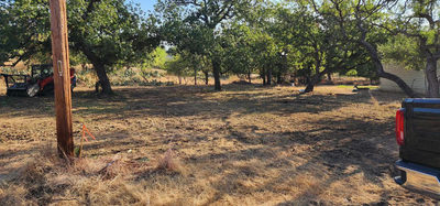 8529 Bluebonnet — photo 3